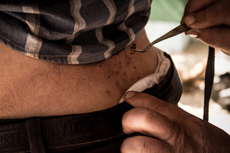 'Bee King' of Rojava: One man's mission to save Syria's endangered bees