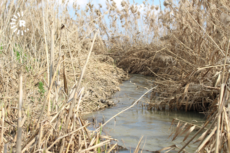 Poor relations with Turkey contribute to Rojava's wastewater woes 