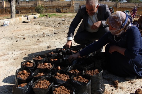 Green revolution: The Syrian Kurds fighting for Rojava’s environment 