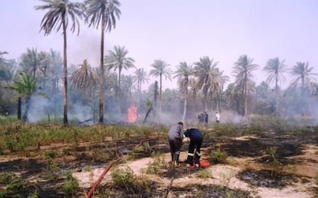Fire fighters try to extinguish a fire that destroyed an old palm grove in Khanaqin earlier in May. Photo: Rudaw