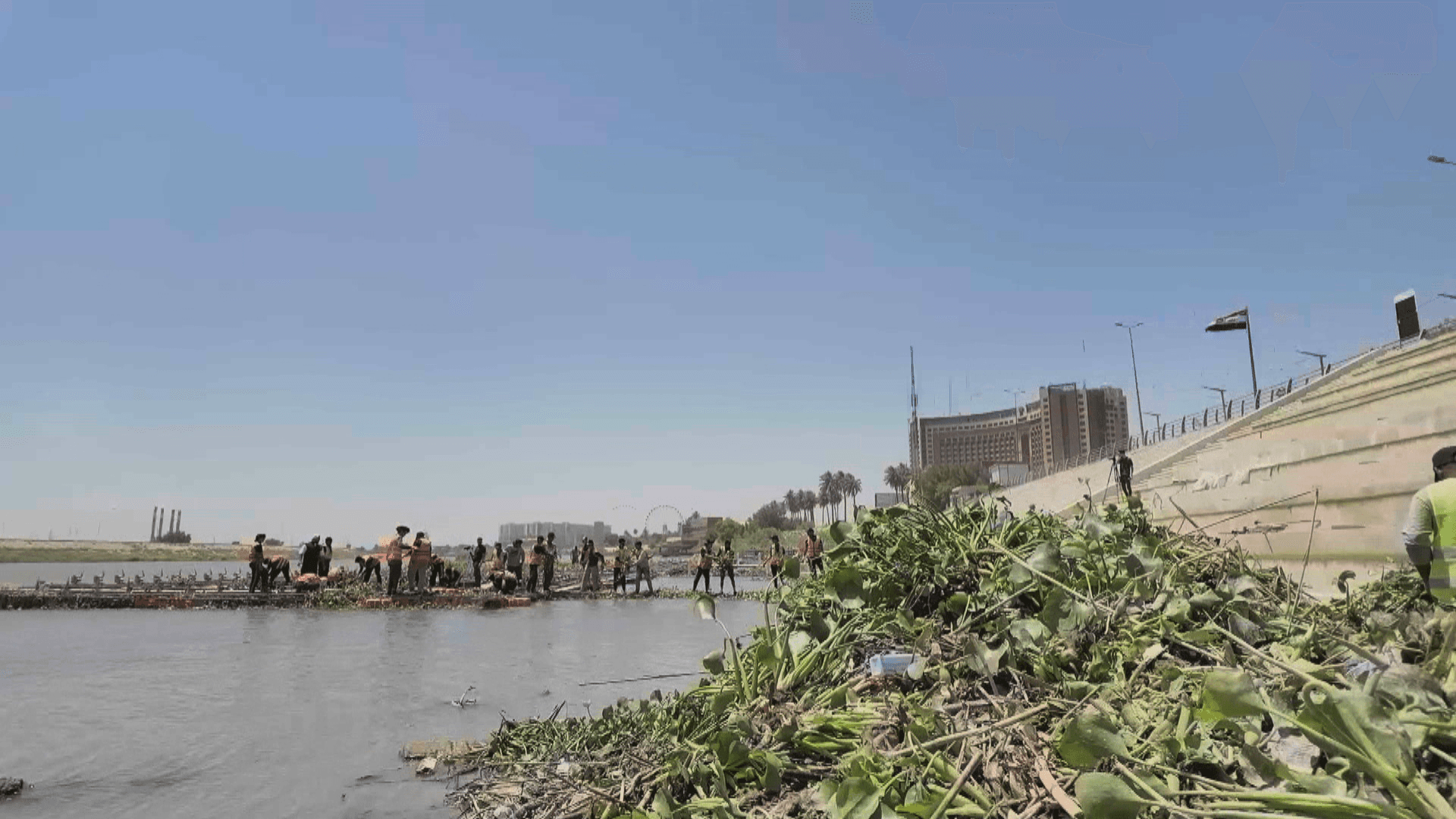Iraq launches nationwide campaign to remove invasive water hyacinth from rivers