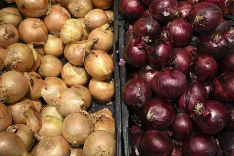 Duhok starts exporting onions to Turkey