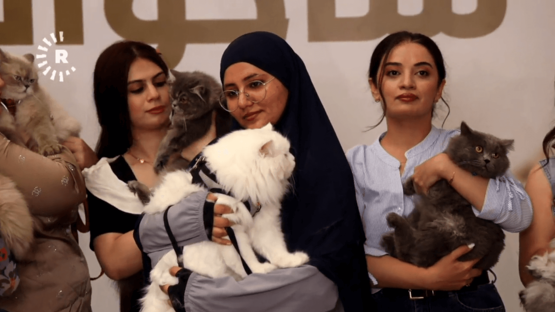 Süleymaniye’de podyum patili dostlarındı: 3. Kedi Güzellik Festivali yapıldı
