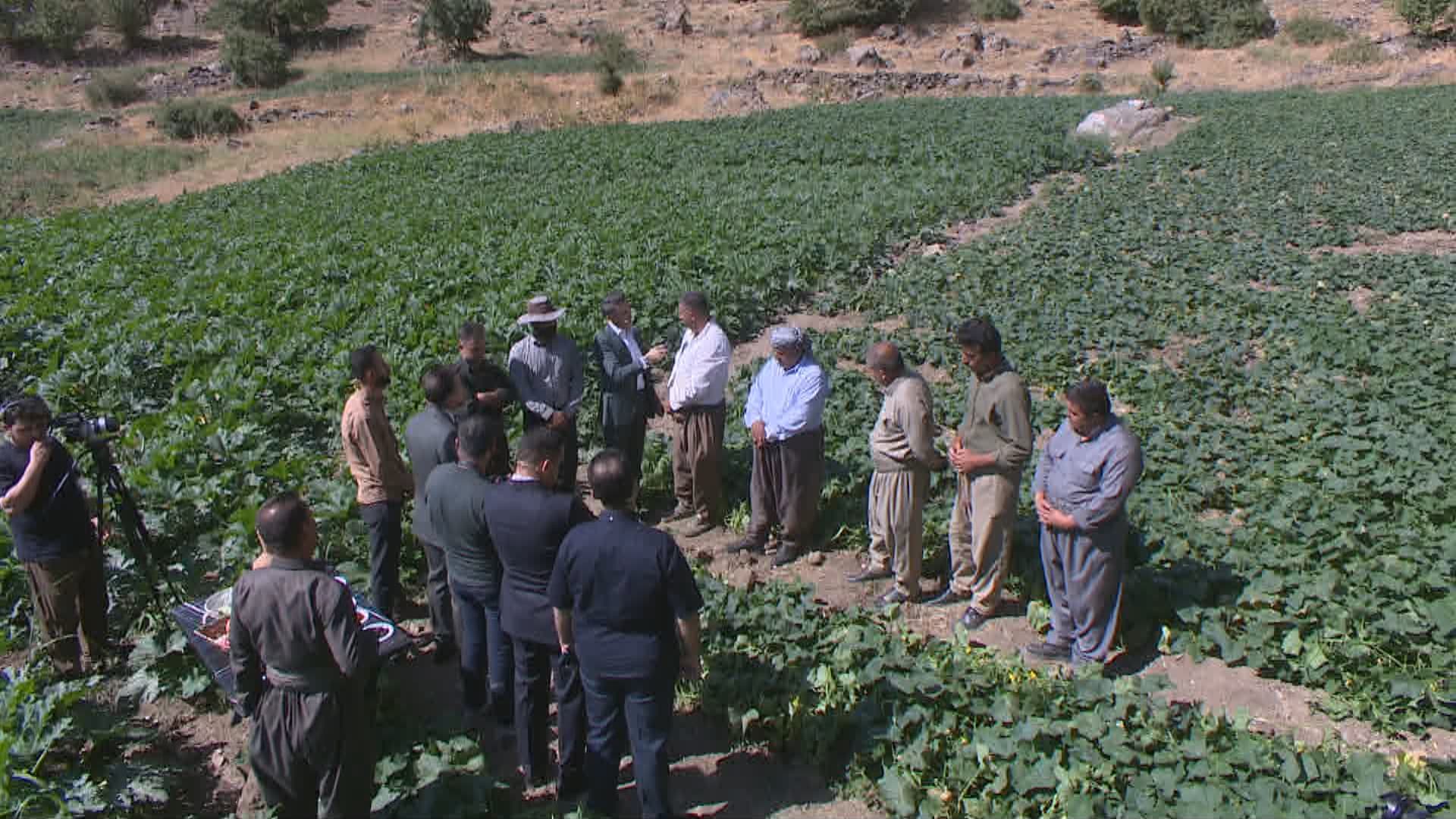Farmers in Kurdistan Region’s ‘food basket’ struggle to market produce amid high production costs