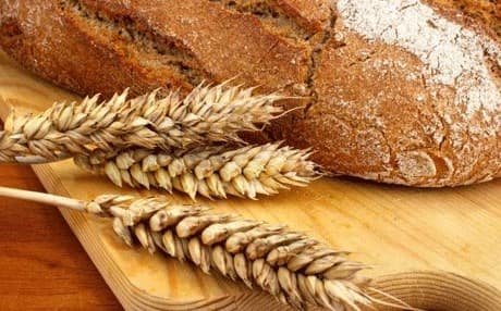 گهنم پرۆتینی گلووتین-ی تێدایه