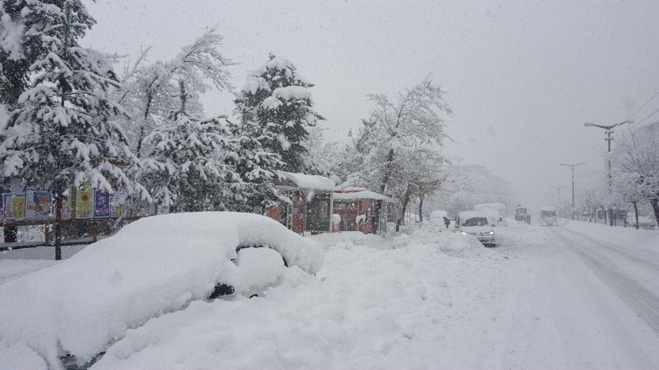 Muş