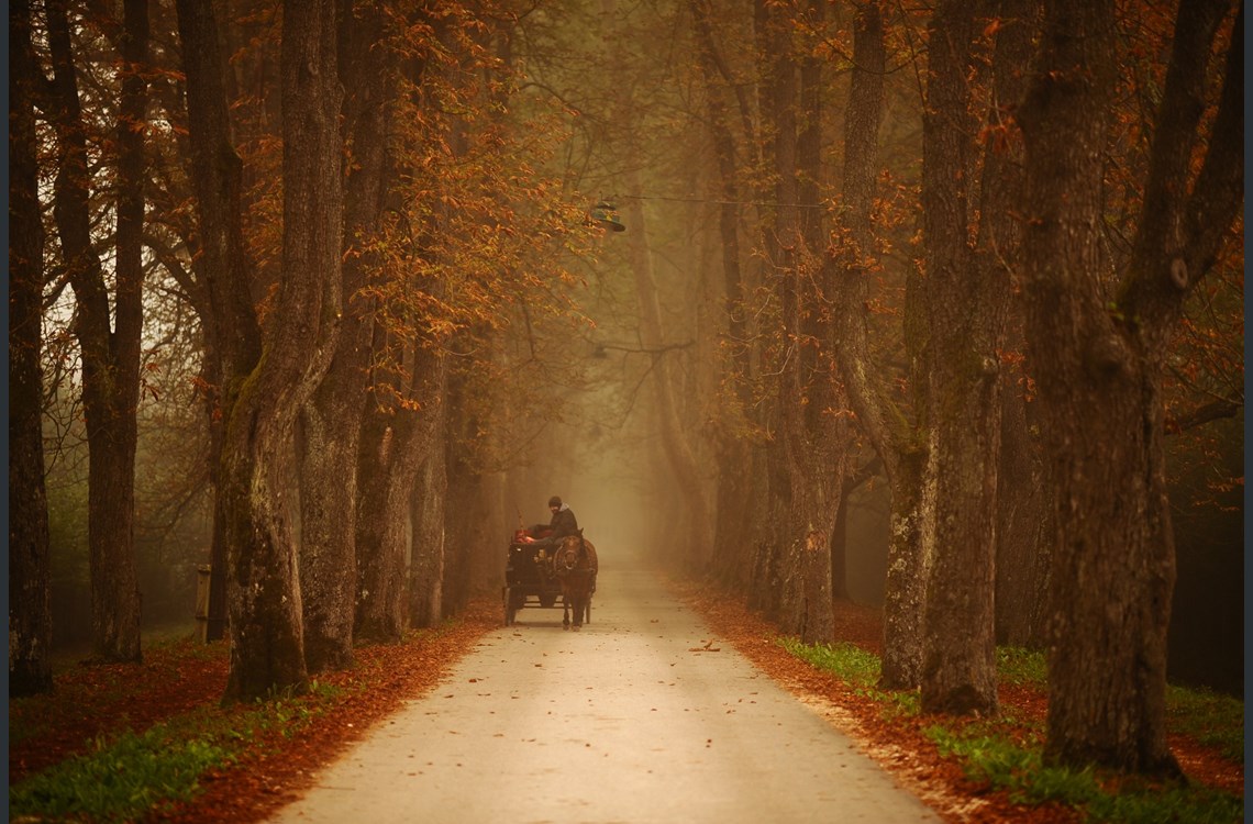 Bosna-Hersek 5