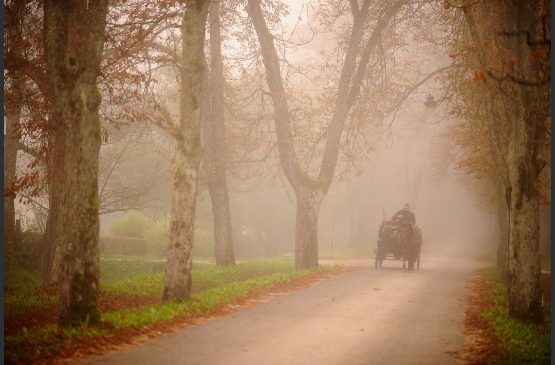 Bosna-Hersek 6