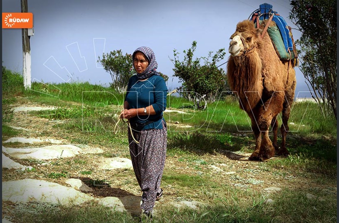 باکووری کوردستان.. چەند وێنەیەکی شاری مێرسین 24