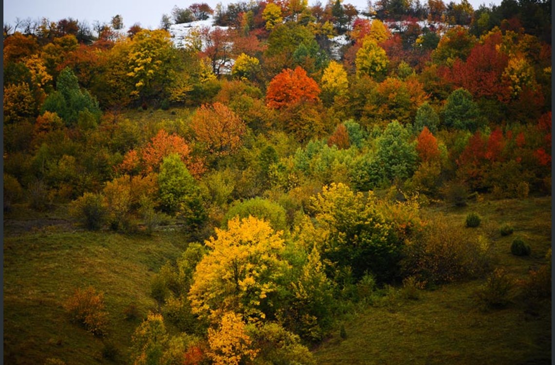 bosna-hersek-sirusht 8