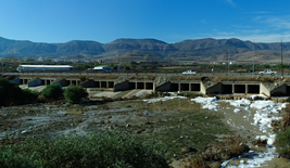 پیسبوونی ئاوی رووباری تانجەرۆ و خاوێنکردنەوەی لە رێگەی تەکنەلۆجیای بایۆریمیدەیشن