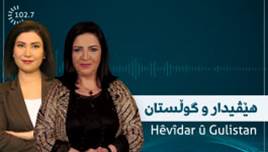 Tavge Omer –Berpirsa Desteya Serbixwe a Mafên Mirovan li Herêma Kurdistanê