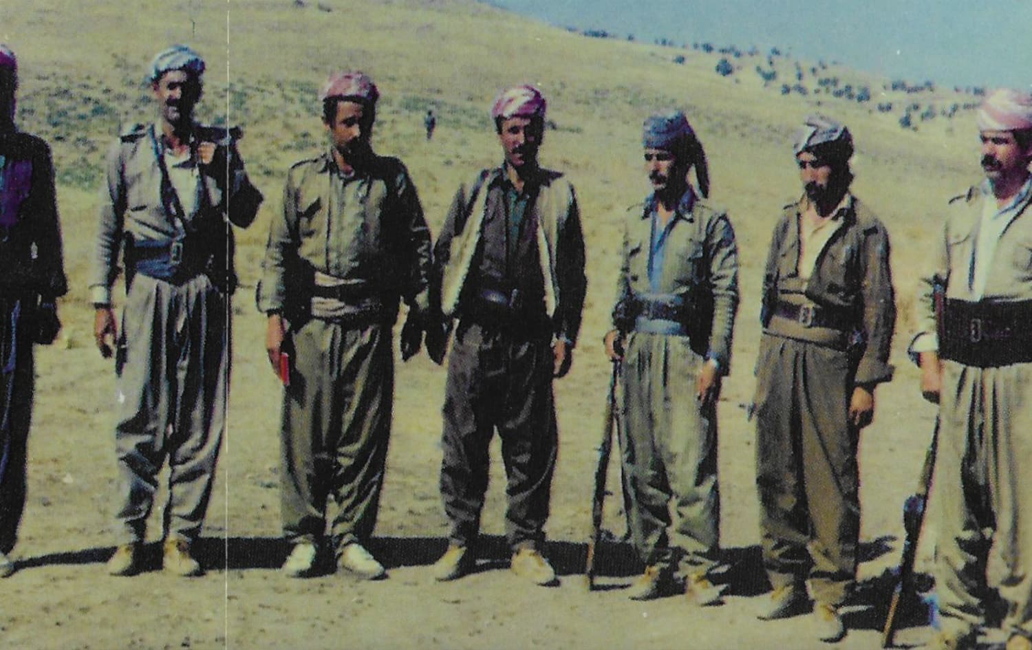 باکوور لە گوڵان دا