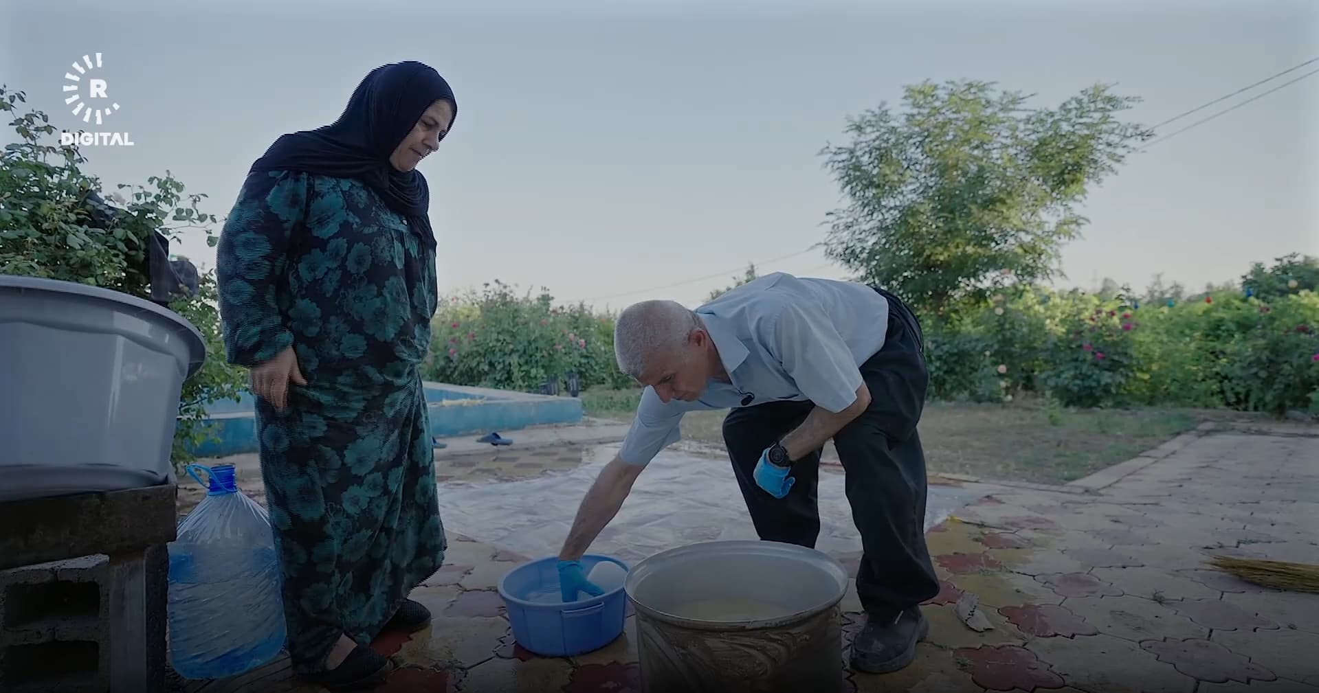 Geleneksel Kürt Sakızı’nın zorlu yolculuğu: Ranya dağlarından gelen 30 yıllık şifa