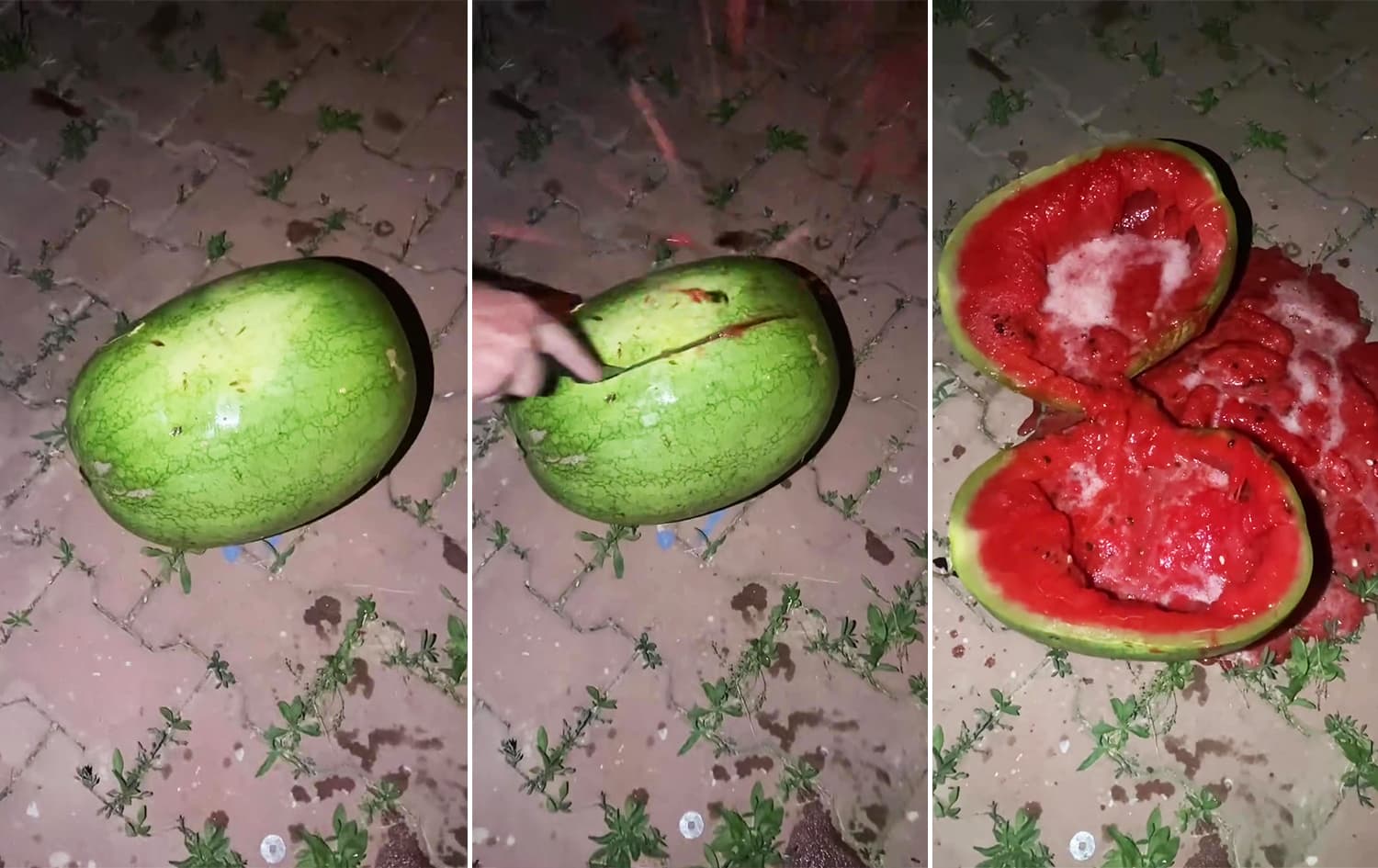 وردەکاریی زانستیی لەبارەی ئاوسان و بەئاوبوونی شووتییەک ئاشکرا دەکرێت