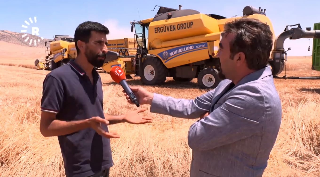 Mardin’de buğday hasadı başladı: Verim yüksek, kazanç düşük