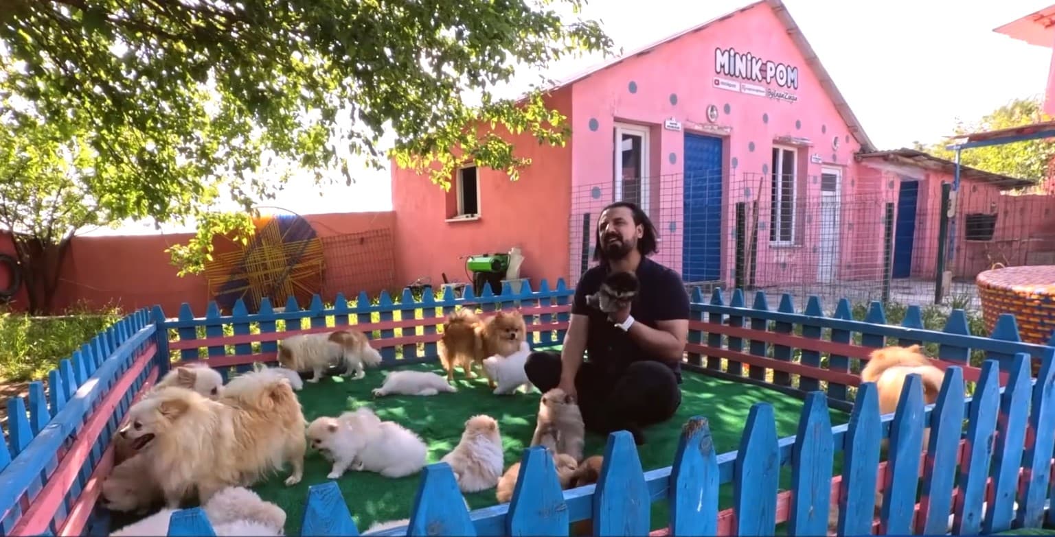 Taylan’dan Diyarbakır’a: İlk sosyete köpek çiftliği