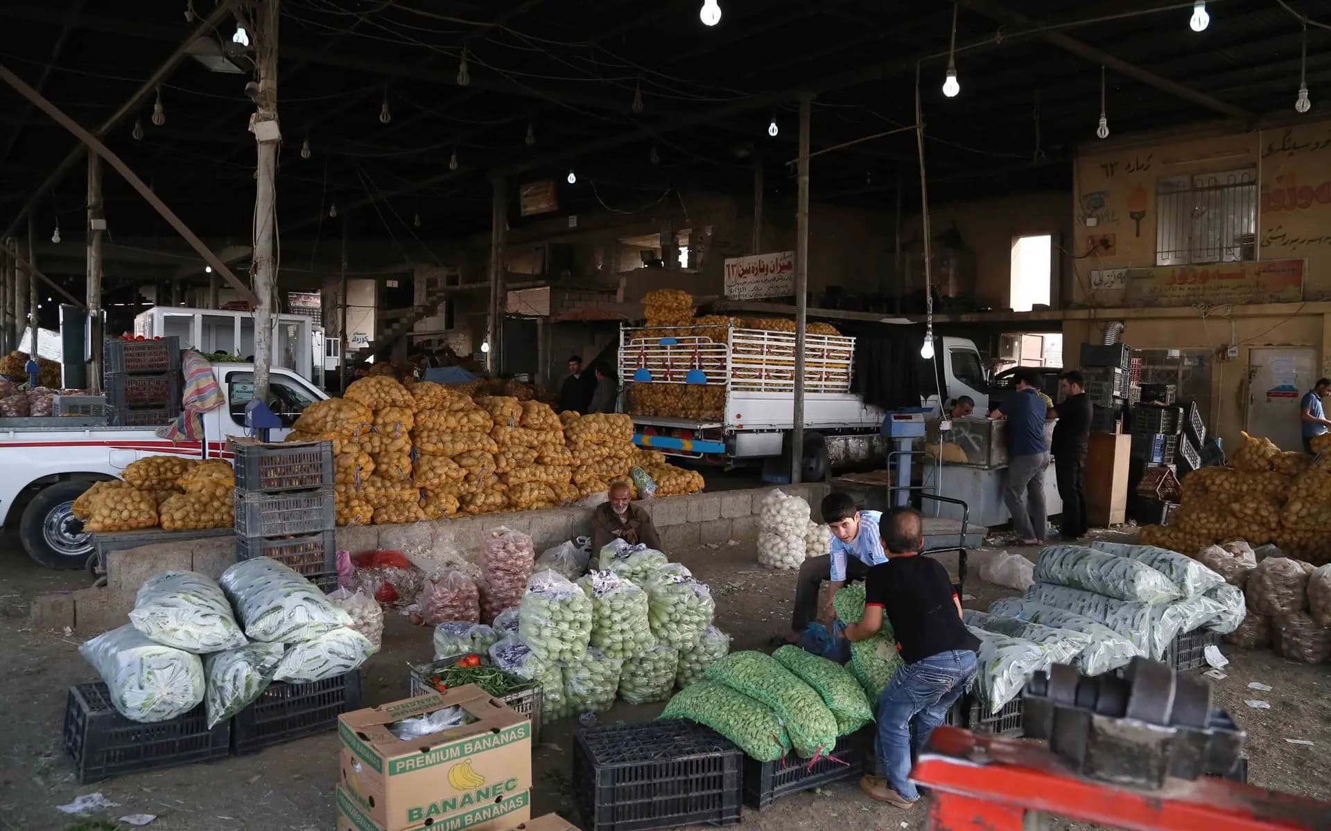هەرێمی کوردستان رۆژانە زیاتر لە 1500 تۆن سەوزە و میوە رەوانەی پارێزگاکانی عێراق دەکات