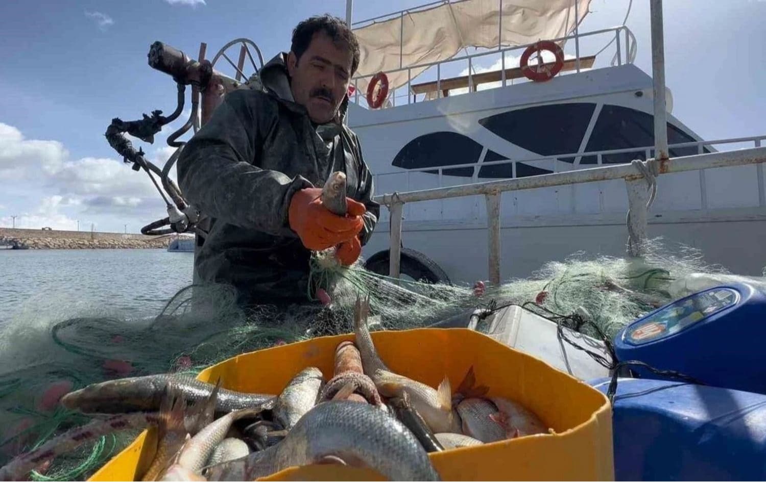 لە وان کەمتر لە دوو هەفتە ماوە بۆ کۆتاییهاتنی قەدەخەی راوی ماسیی دارەخ
