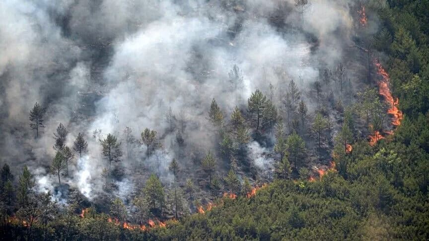 İspanya’da orman yangını: En az 11 kişi hayatını kaybetti