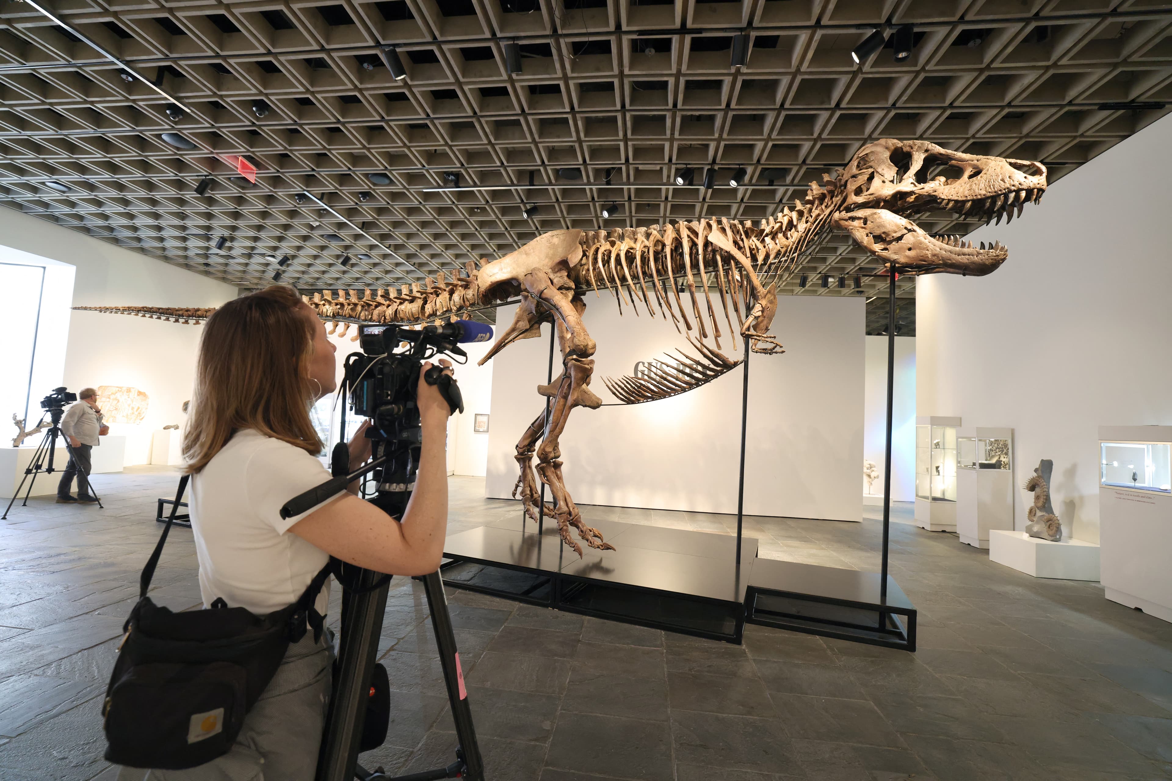 Tayland'da yeni dinozor türü keşfedildi