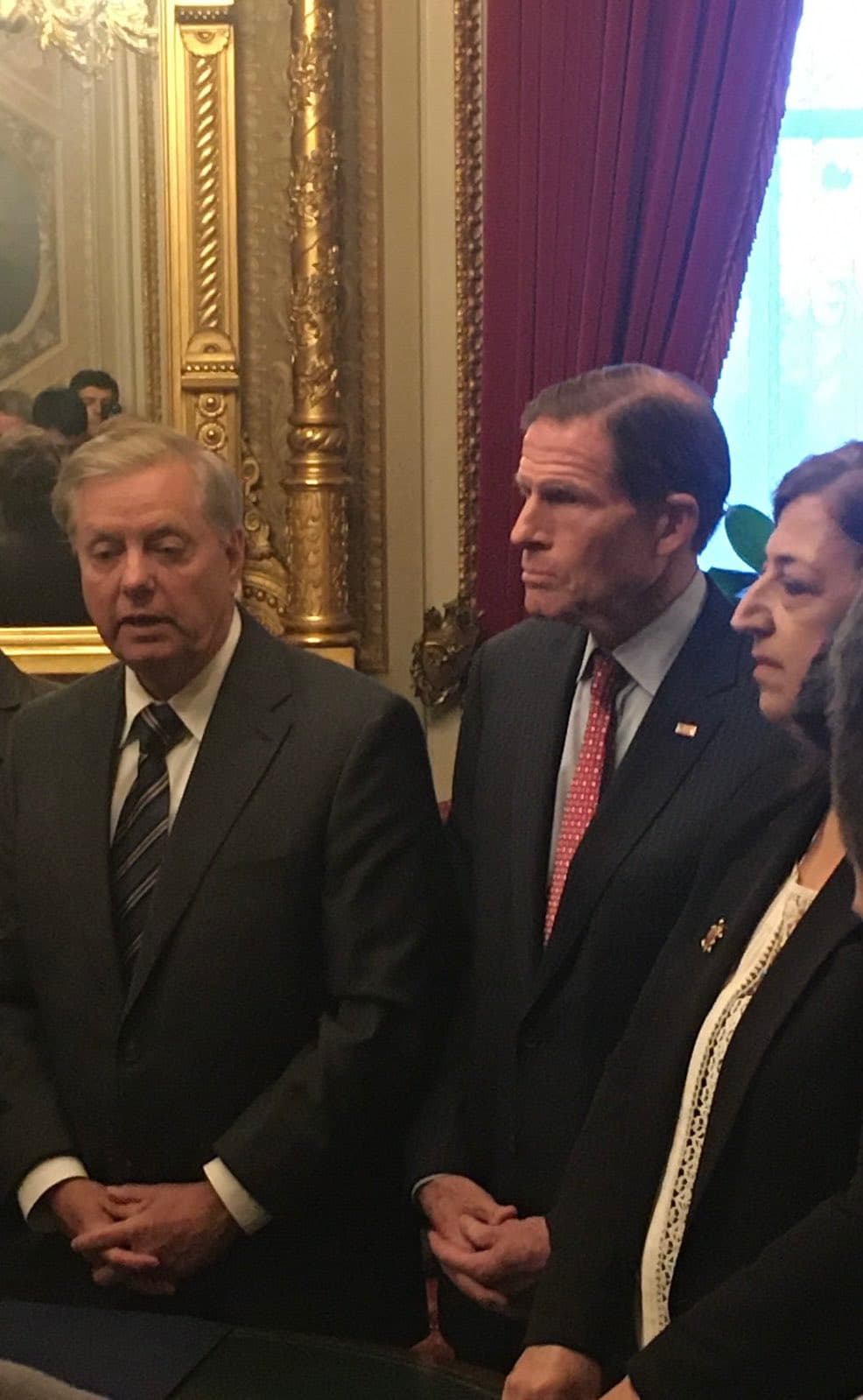 Nûnera MSDyê: Piştgiriya Lindsey Graham a ji bo gelê Kurd dê ti carî neyê jibîrkirin