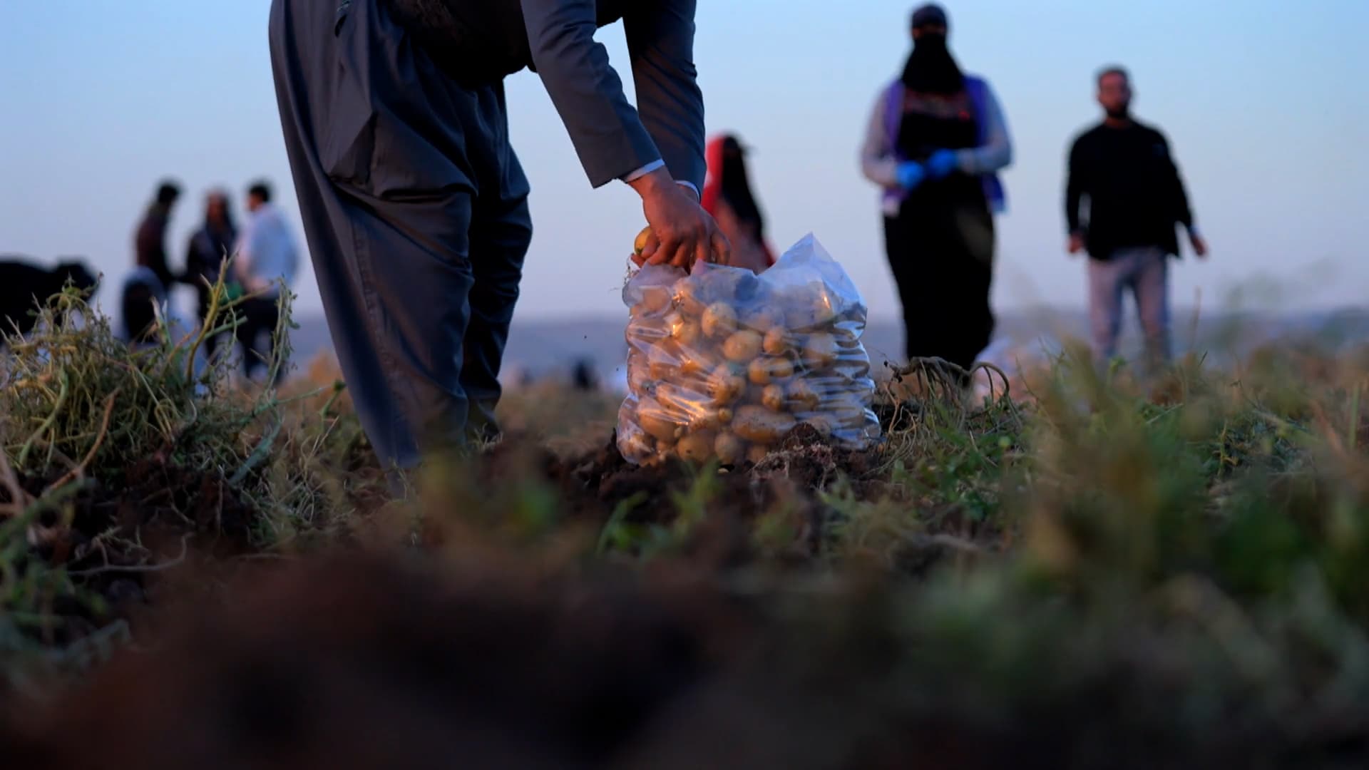 Kurdistan produces over one million tons of potato: Minister