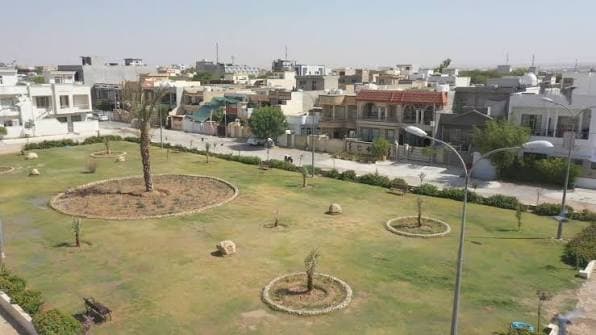 رێژەی سەوزایی کەلار گەیشتووەتە 8%