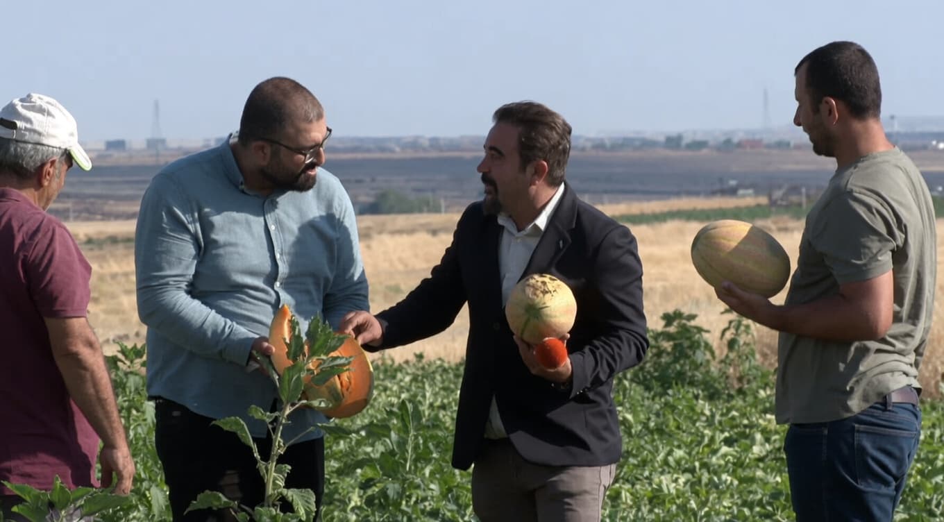 Diyarbakır’da yıllar sonra yeniden yetiştirildi: ‘On dilimli’ kavun Avrupa'ya ihraç ediliyor