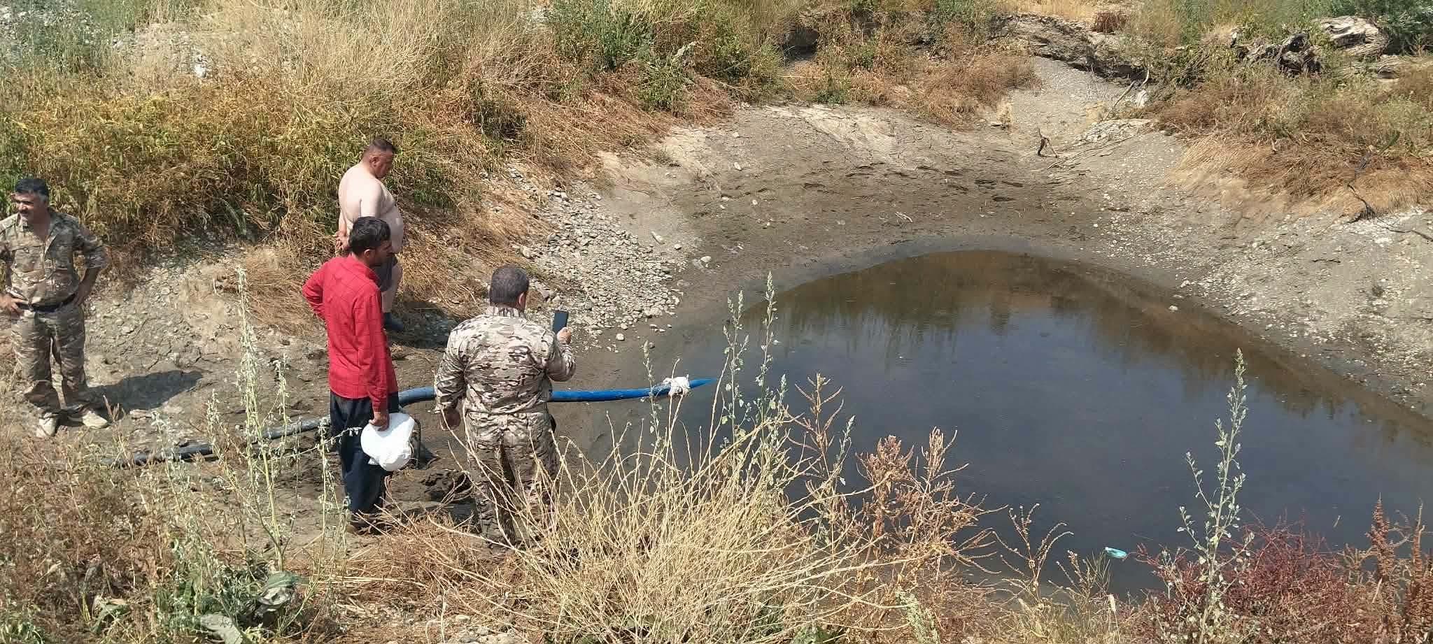لە پێنجوێن سەتان ماسی لە لەنێوچوون رزگار کران