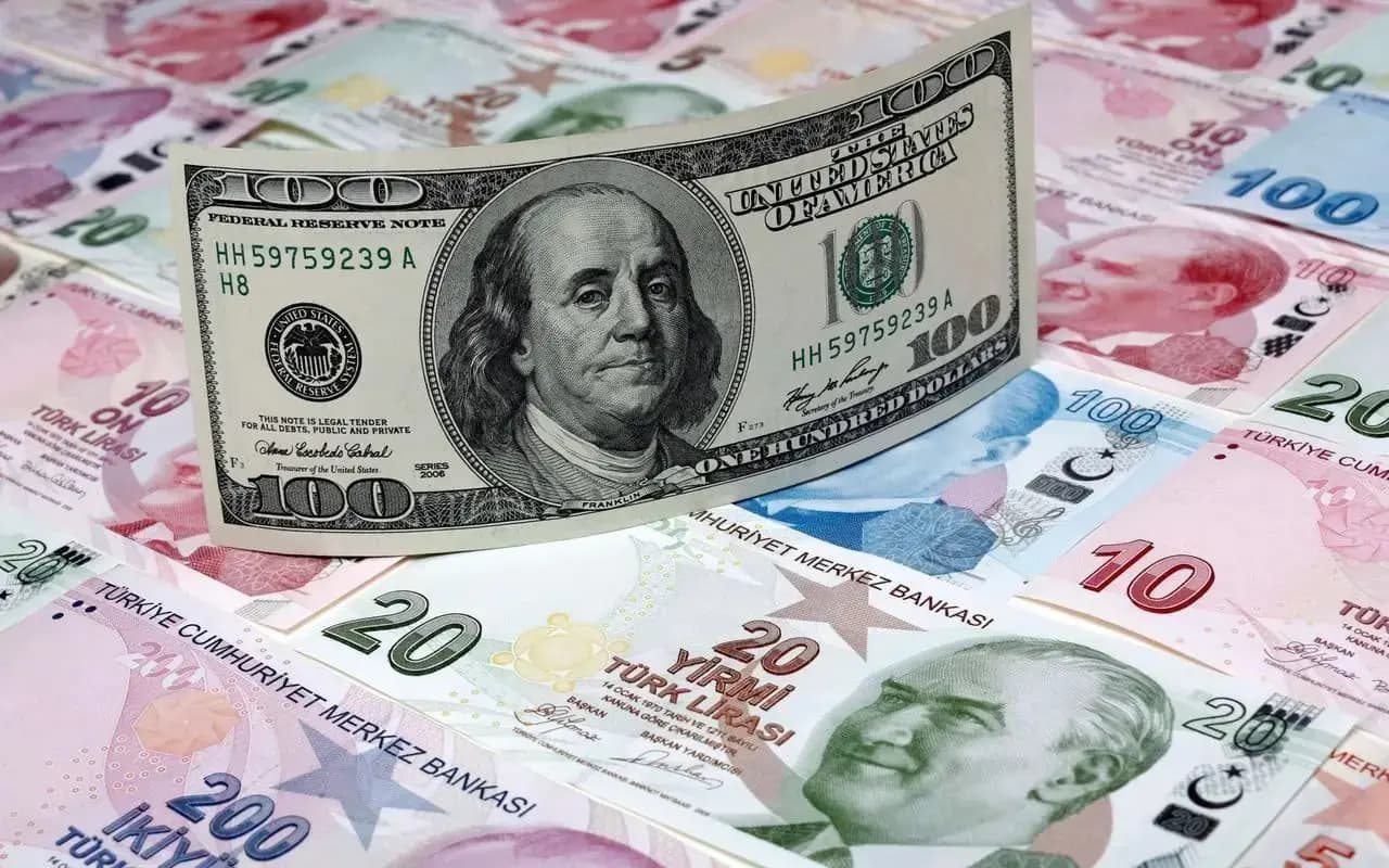 Dolar û lîre / Arşîv