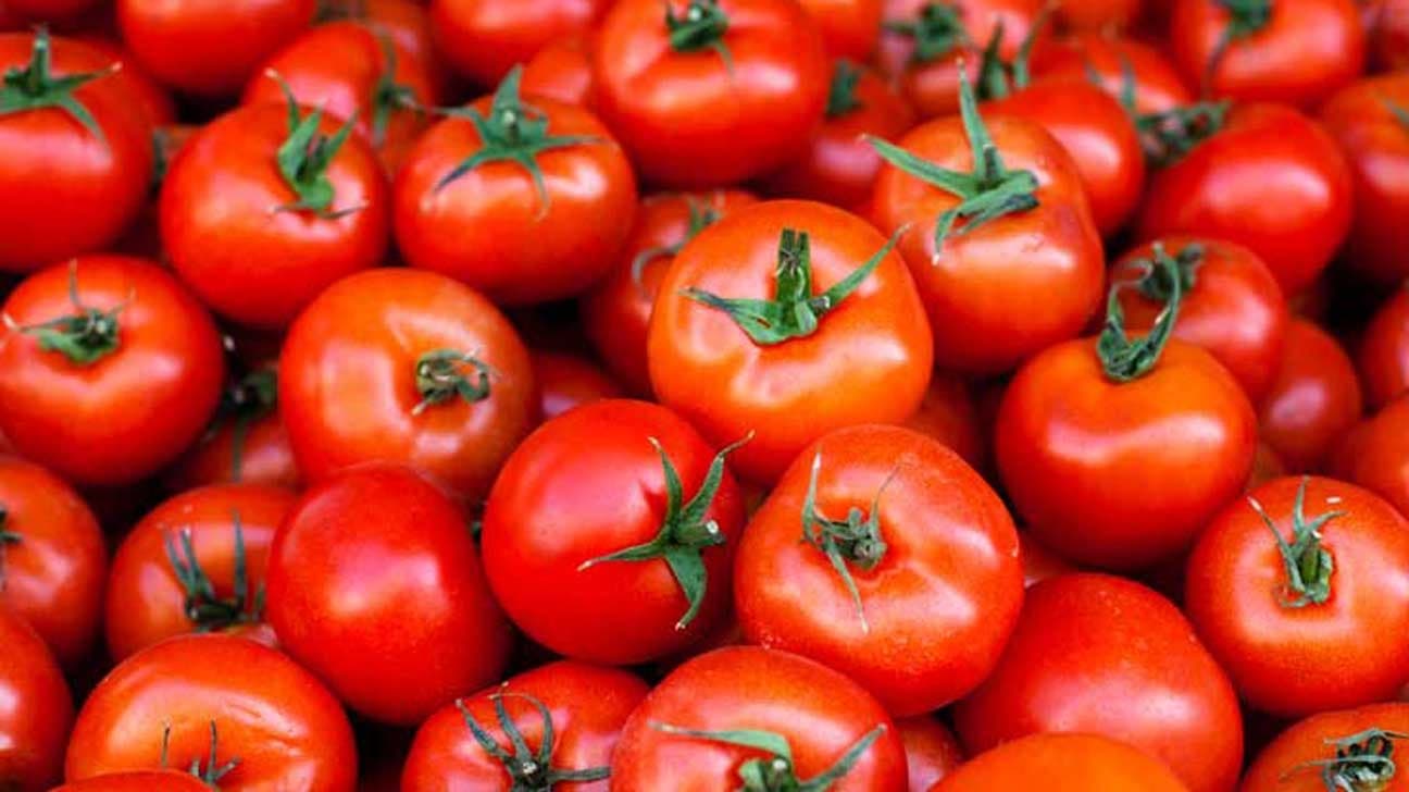 توێژینەوەیەک لە ئیتاڵیا: خواردنی رۆژانەی تەماتە یارمەتیدەرە لە کەمکردنەوەی چەوریی جگەر