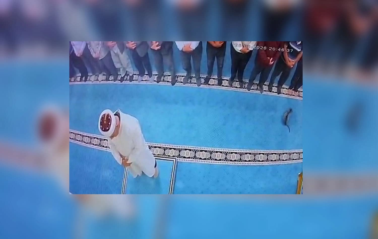 Erzurum'da camide kediyi tekmeleyen kişi gözaltına alındı