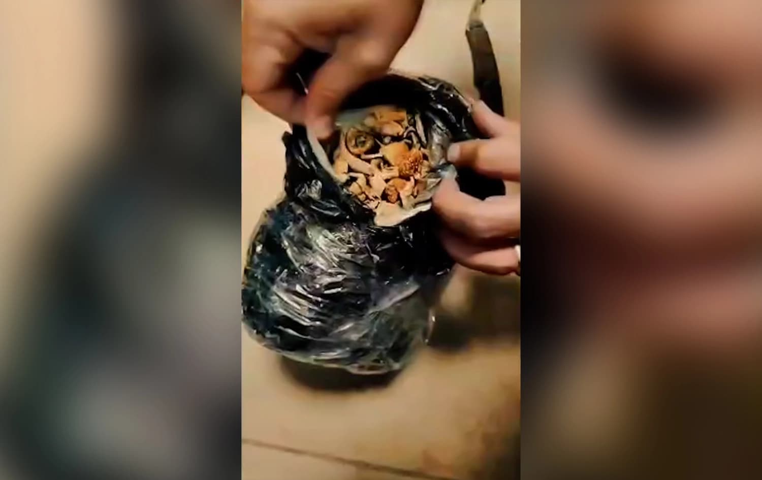 Iraq reports first 'magic mushroom' drug bust in Sulaimani