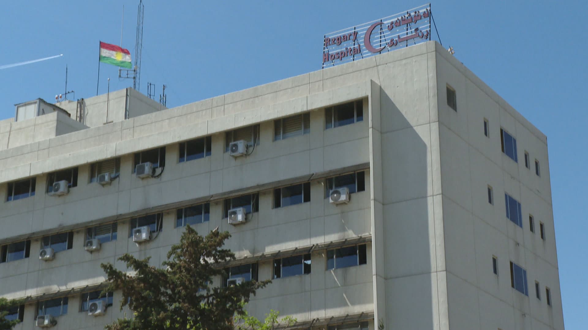 نەخۆشخانەی رزگاری لە هەولێر: مانگی رابردوو 94 گەستراوی سەگ و 27 پێوەدراوی مار تۆمار کراون