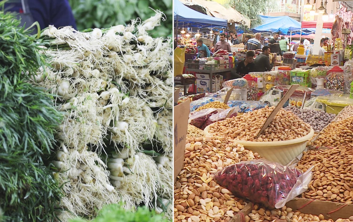 زانکۆی هارڤارد: چەرەس و سەوزەکان یارمەتیدەرن بۆ رێگری لە لەبیرچوونەوە