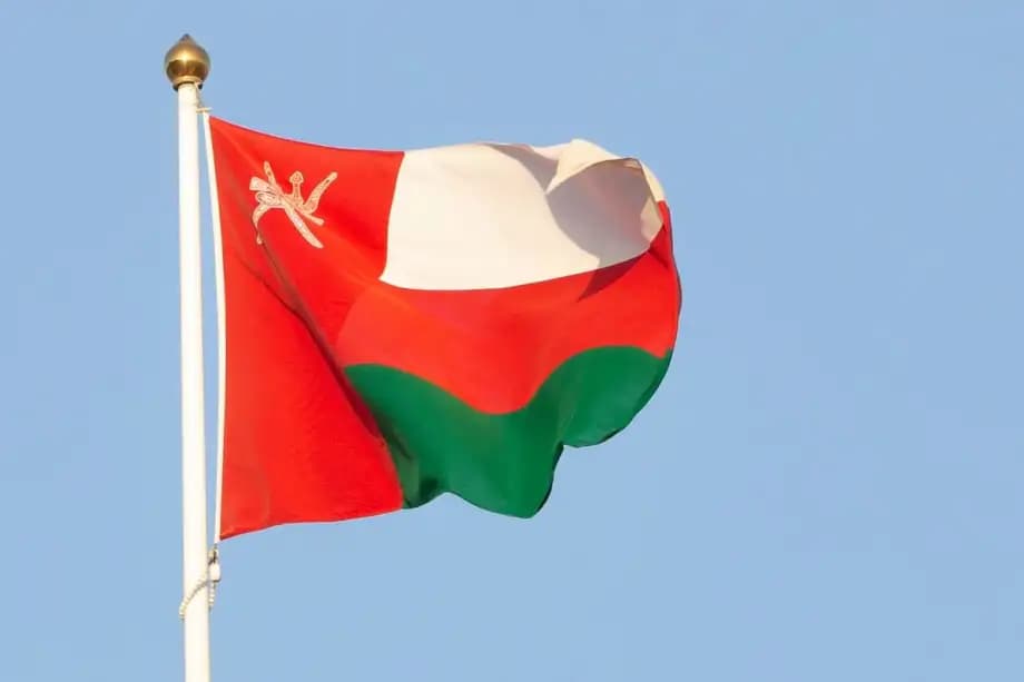 Omani FM says Iran-Arab Hormuz summit delayed for consensus