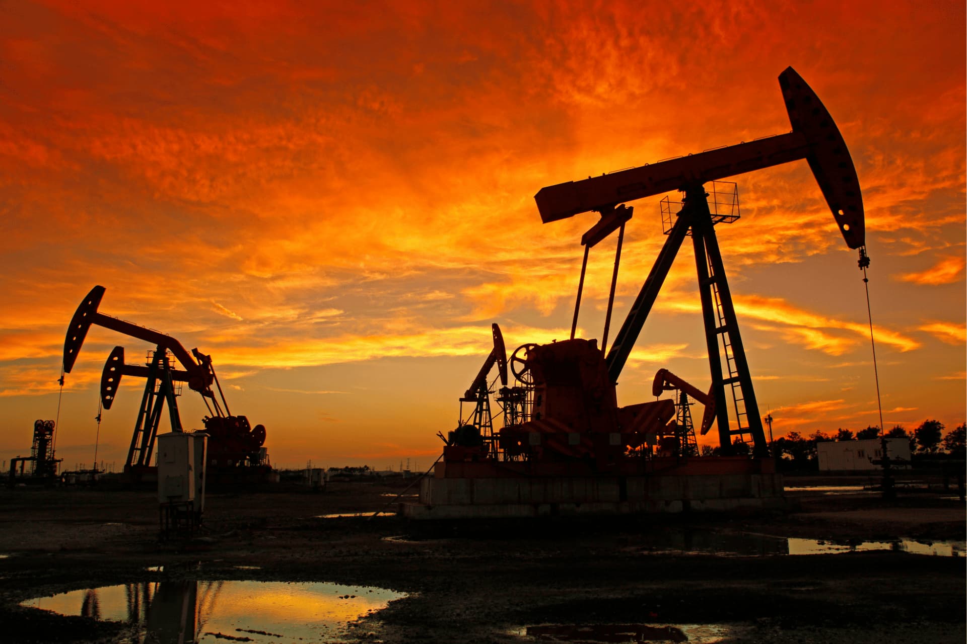 Bihayên petrolê bi bayê dîplomasiyê ve daketin