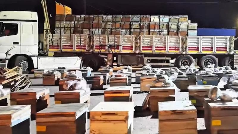 لە جۆلەمێرگ دەست بەسەر 91 کیلۆگرام ماددەی هۆشبەردا گیرا