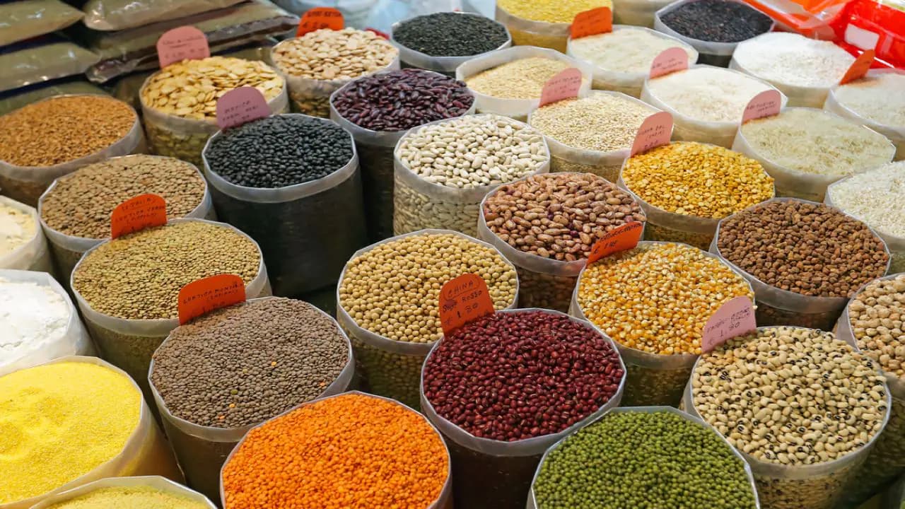 عێراق کڕیاری یەکەمی پاقلەمەنی و دانەوێڵەی تورکیایە