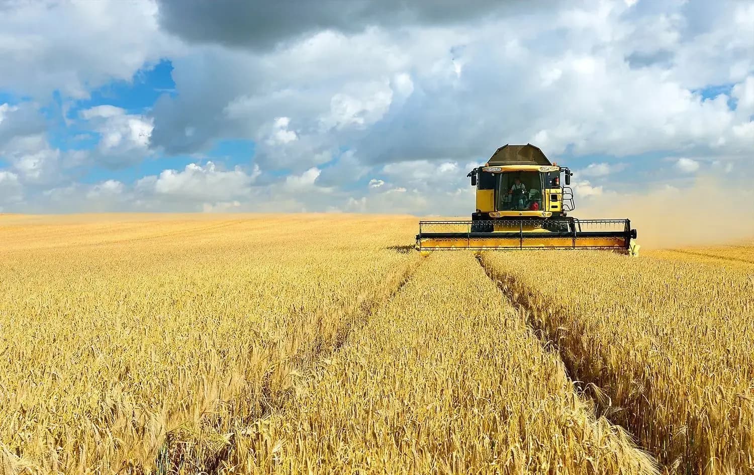 سایلۆی گەرمیان: دەست بە دابەشکردنی چەکی پارەی گەنمی جووتیاران دەکرێ