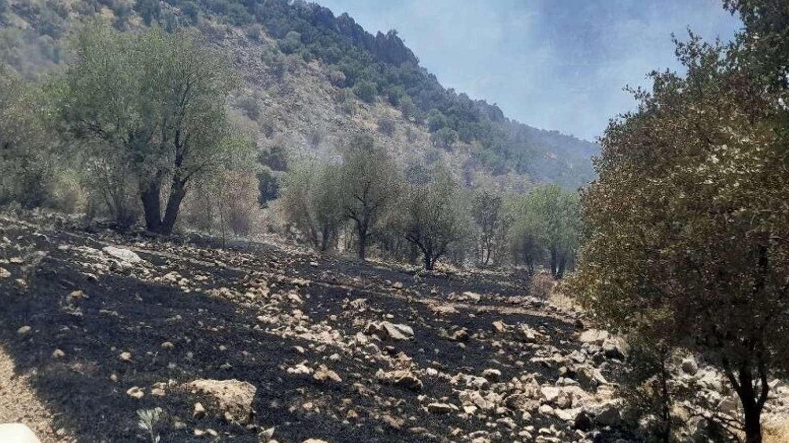 ئاگر لە دارستانەکانی سەردەشت کەوتەوە