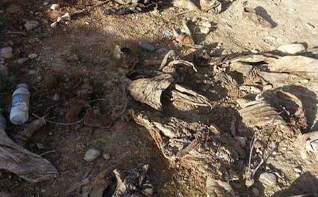 One of the mass graves. 