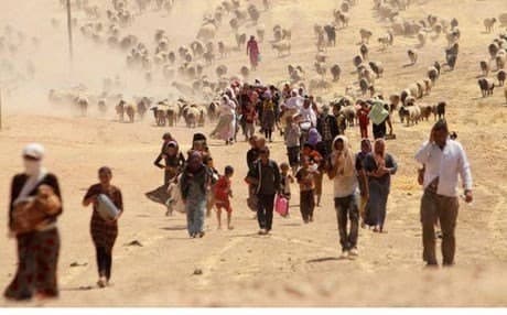 Yazidi refugees, Reuters Photo