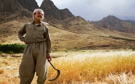 Kurdish farmer Omar Ali. Photo by Anna Laurent 