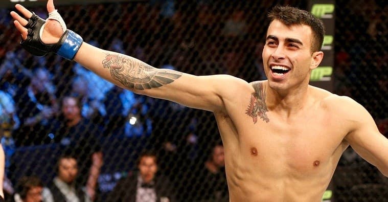 Kurdish MMA fighter ‘Mr Finland’ crushes opponent