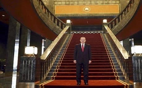 The Turkish president, Recep Tayyip Erdogan, poses inside the palace. PHOTO: AFP 