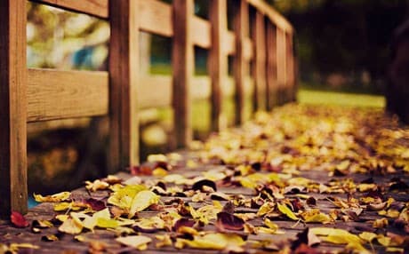 شاعیران لەبارەی پاییزەوە چی دەڵێن؟