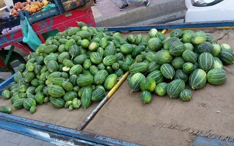 Ew sewze li cîhanê bi tenê li bajarekî Kurdistanê heye