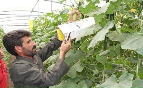 The 44-year-old farmer Azad Muhammad
